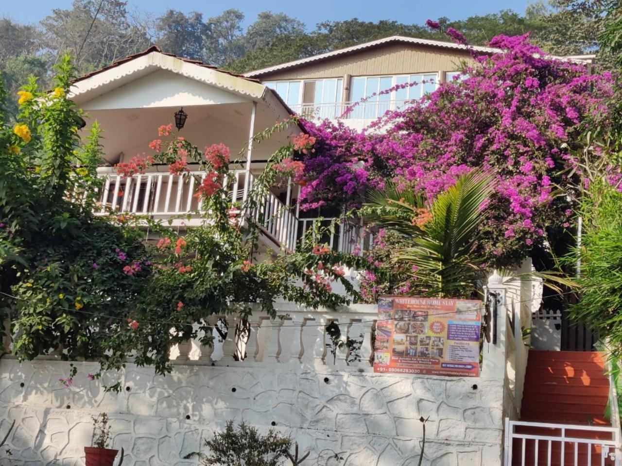 Whitehouse Homestay By Oxystays Hospitality Alībāg Eksteriør billede